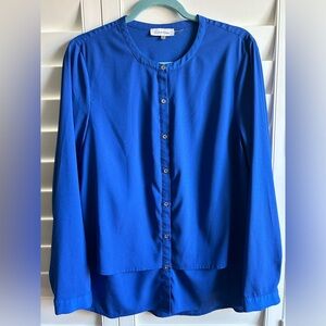 Calvin Klein Royal Blue Long Sleeve